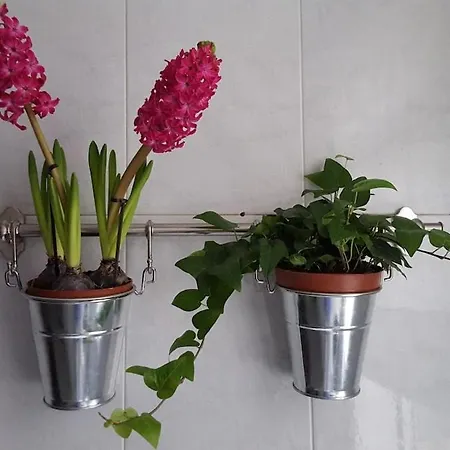 Flat With Encanto In Coruna Apartment *